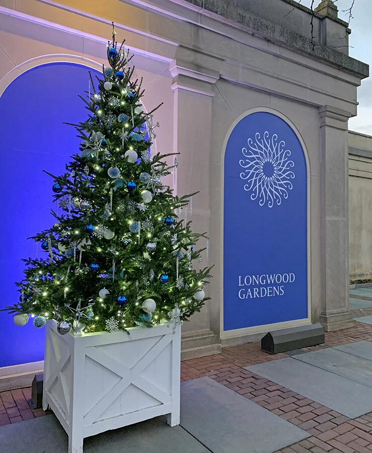 A Longwood Christmas — Enchanted Gardens